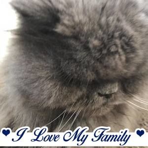 Meet your Posher, Georgia